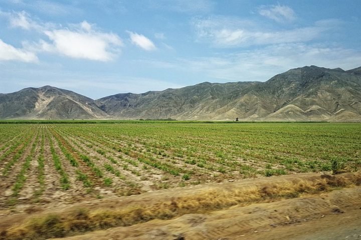 Durante a época colonial, a região de Barranca teve um papel importante na rota comercial entre Lima e o norte do Peru.