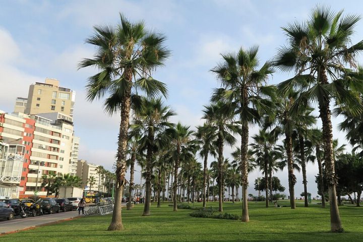 A província abriga cerca de 138 mil habitantes, distribuídos em cinco distritos: Barranca (capital), Paramonga, Pativilca, Supe e Supe Puerto.