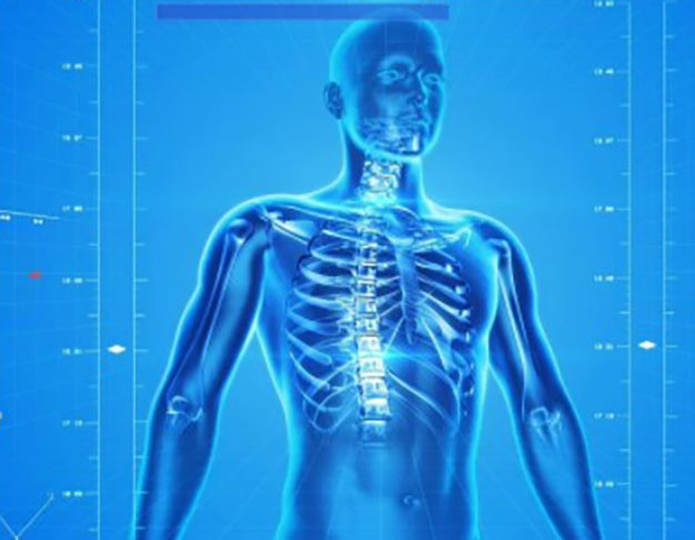 A reação anafilática, que é sempre uma emergência médica, acontece quando o sistema imunológico responde ao contato com um componente alérgeno liberando uma grande quantidade de substâncias químicas. 

