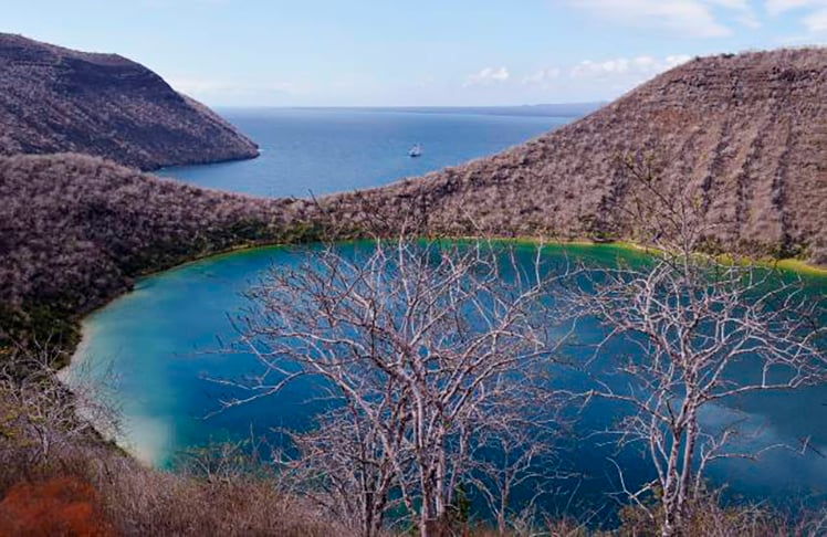 O arquipélago tem dezenas de ilhas e rochedos de origem vulcânica. E, a princípio, foi essa atividade dos vulcões que atraiu Charles Darwin à região. Mas ele acabou encontrando uma fauna diversificada que prendeu sua atenção. 