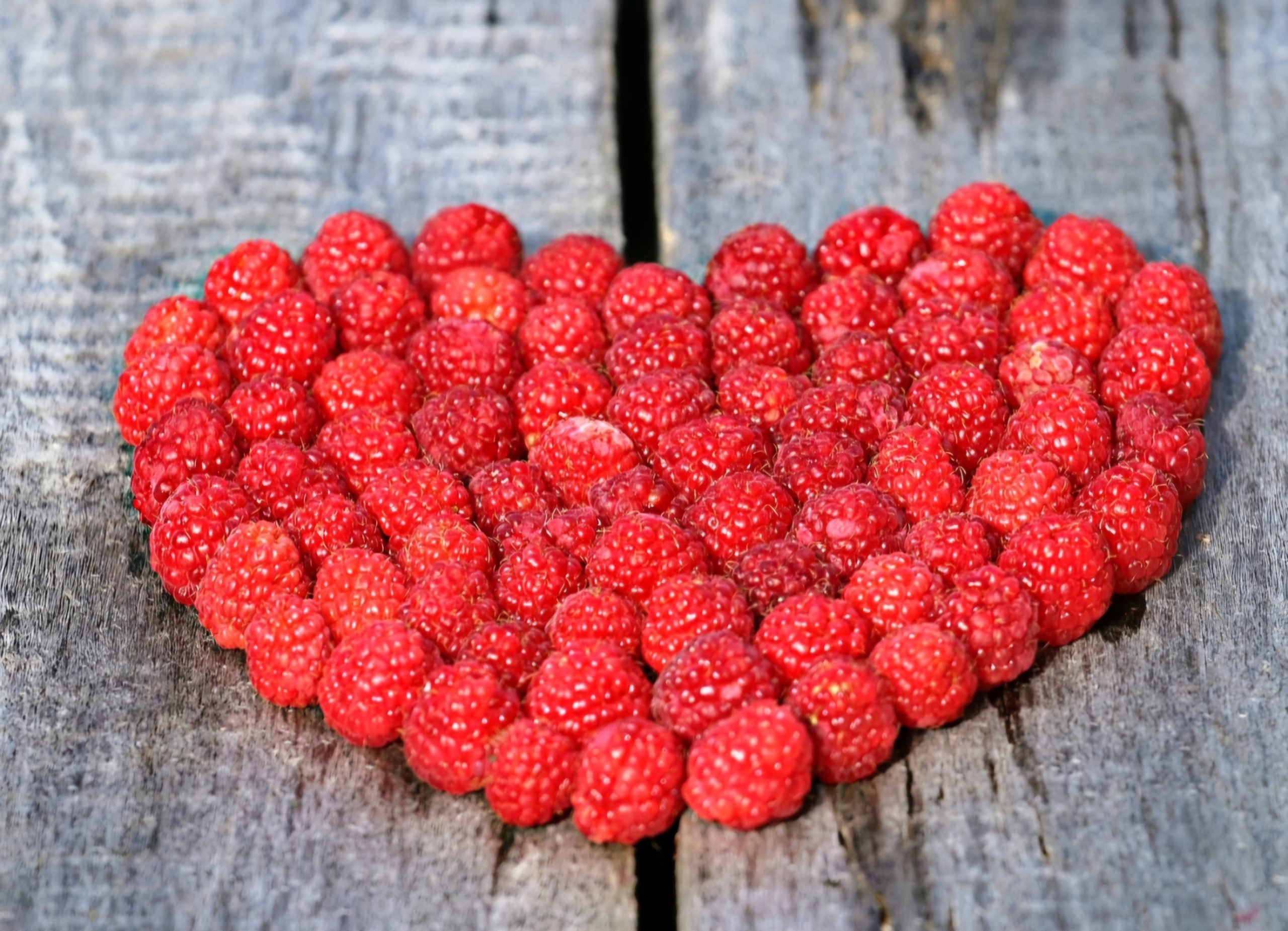 O simbolismo da framboesa é complexo e varia dependendo do contexto cultural e da interpretação individual. Em geral, ela pode ser associada à fertilidade, paixão, coragem, vitalidade e transformação.