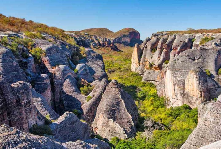 Parque Nacional da Serra da Capivara, Piauí: Conhecido por suas pinturas rupestres pré-históricas que datam de até 10.000 anos atrás, o parque ainda inclui belas trilhas e lagoas que os visitantes podem aproveitar.