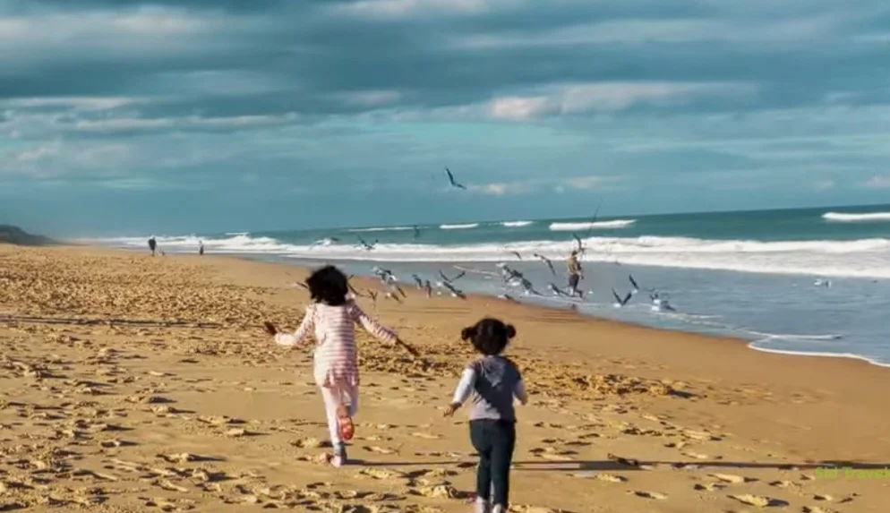 Localizada na costa sudeste de Victoria, a cerca de 260km de Melbourne, a 90 Mile é considerada uma das maiores praias panorâmicas, mais naturais e intocadas do mundo. Muitos praticantes de mergulho gostam da região, onde também há uma parque nacional, que zela pela preservação da flora nas áreas de mata e da vasta fauna marinha. 