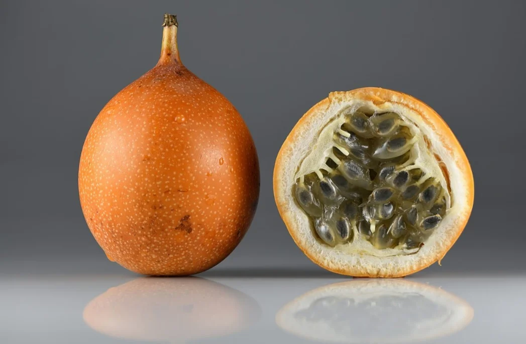 Granadilha (Passiflora ligularis) - Chamada de maracujá-doce, é nativa das regiões montanhosas da América do Sul, especialmente dos Andes, abrangendo  Colômbia, Equador, Peru, Bolívia e Venezuela.  A granadilha prefere climas tropicais de altitude, com temperaturas amenas e sem geadas,  entre 1.000 e 2.500 metros.