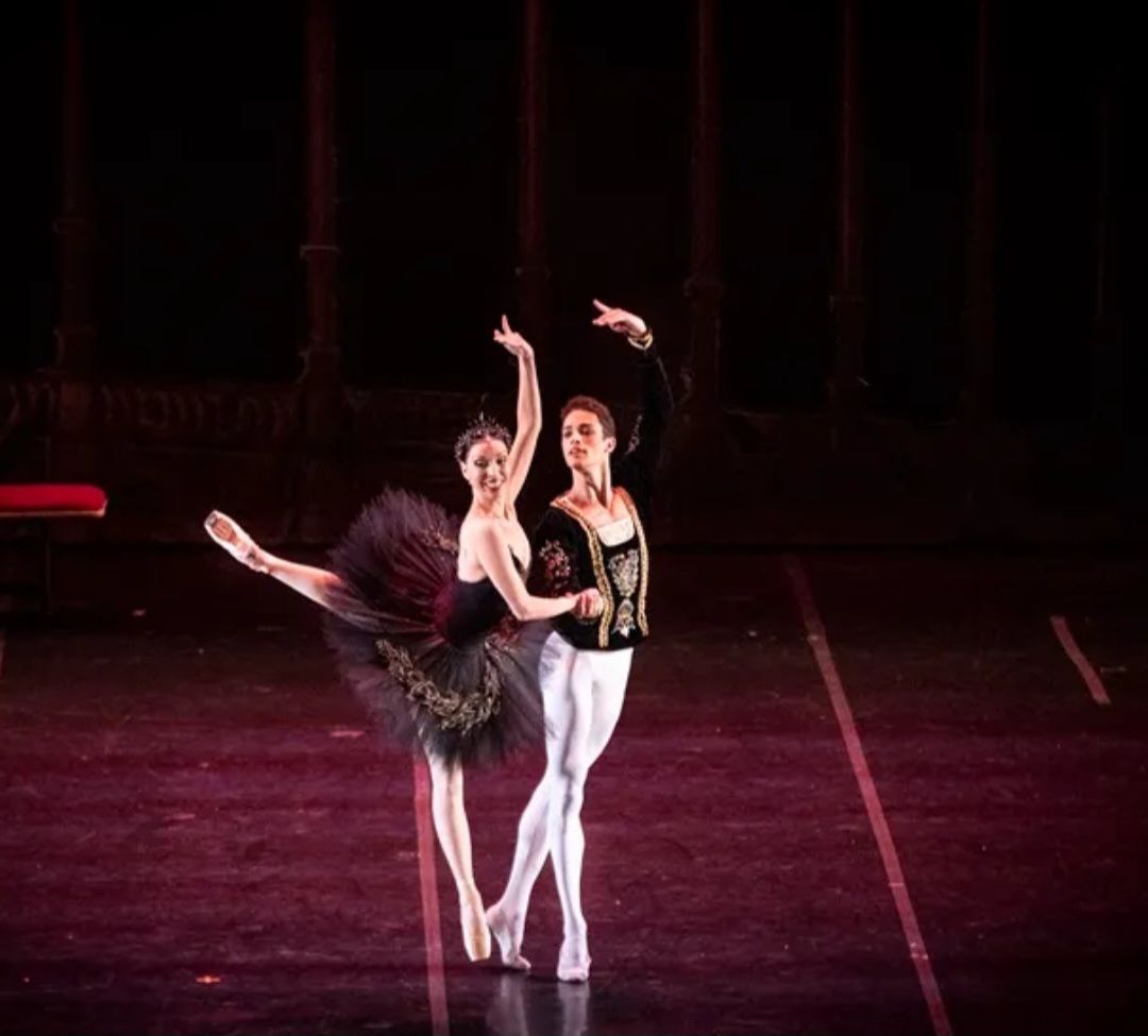 A estreia de O Lago dos Cisnes ocorreu no dia 20 de fevereiro de 1877 no teatro, na cidade russa de Moscovo. Vale ressaltar que a história contada no conto de fadas O Patinho Feio, do escritor dinamarquês Hans Christian Andersen, na verdade era sobre um cisne.