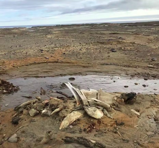 O derretimento acelerado dividiu a calota de gelo da ilha em duas partes, expondo um terraço marinho com vários quilômetros quadrados. 