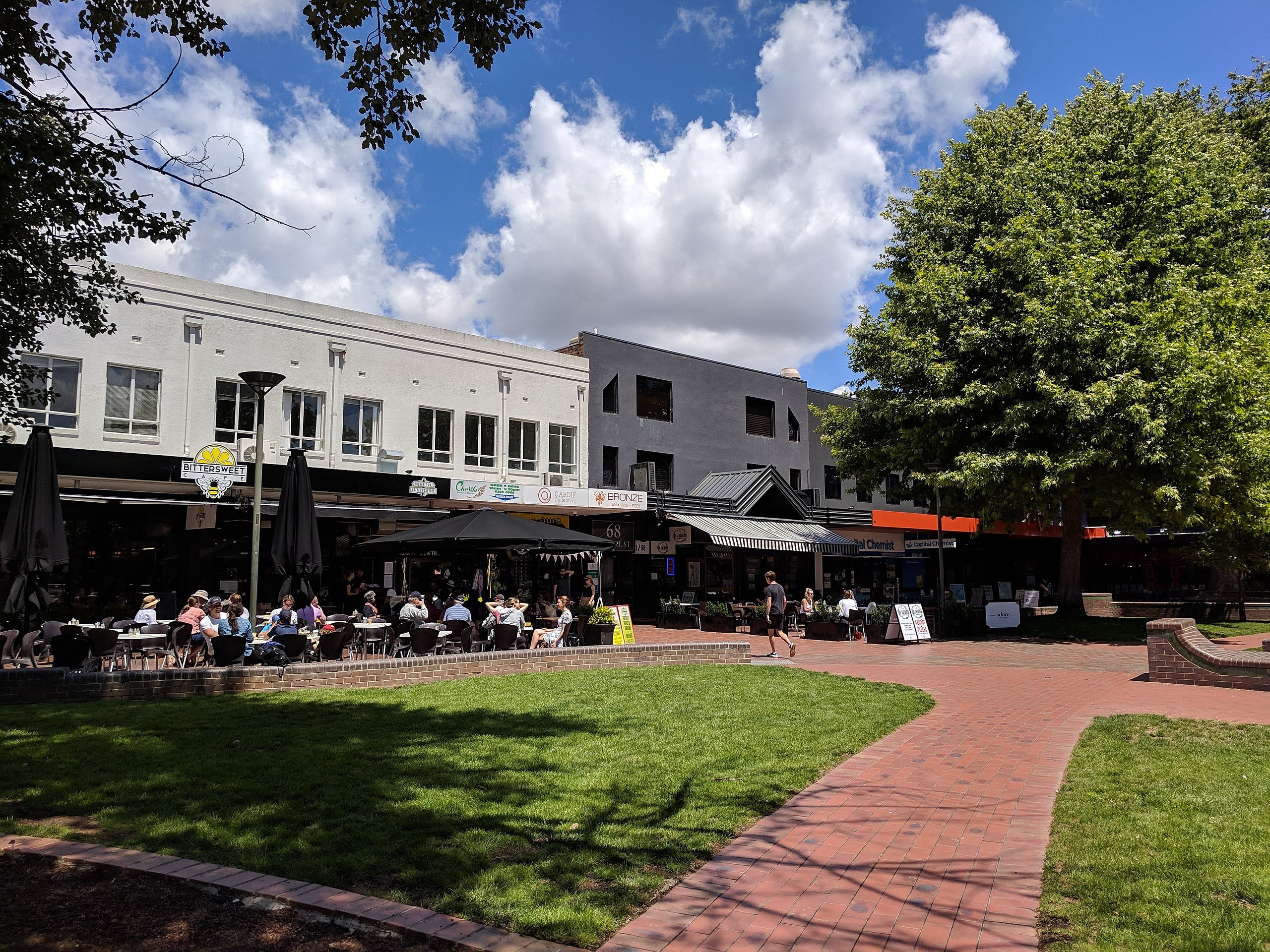 No tratamento, a equipe médica receitou analgésicos e antibióticos. A ferida causada pelo animal passou por uma limpeza e foi suturada, com alguns pontos. Forward, porém, explicou que a dor e o inchaço não passaram mesmo após uma semana.