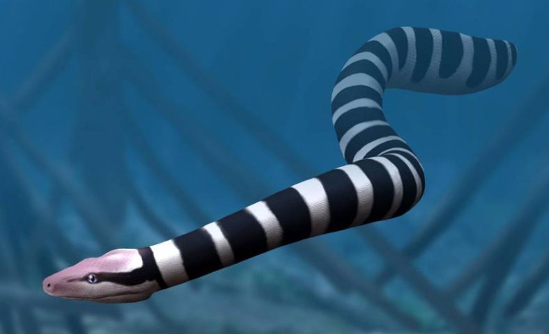 Palaeophis colossaeus – Habitou regiões costeiras da Europa e América do Norte entre cerca de 50 e 60 milhões de anos atrás. Foi uma das maiores cobras marinhas conhecidas, adaptada à vida em águas quentes.