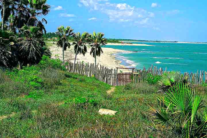 Já no caso das praias de Cajueiro da Praia, o mais frequente é que os turistas se hospedem na praia de Barra Grande, a 70 km de Parnaíba. Conheça a seguir as principais praias do Piauí. 
