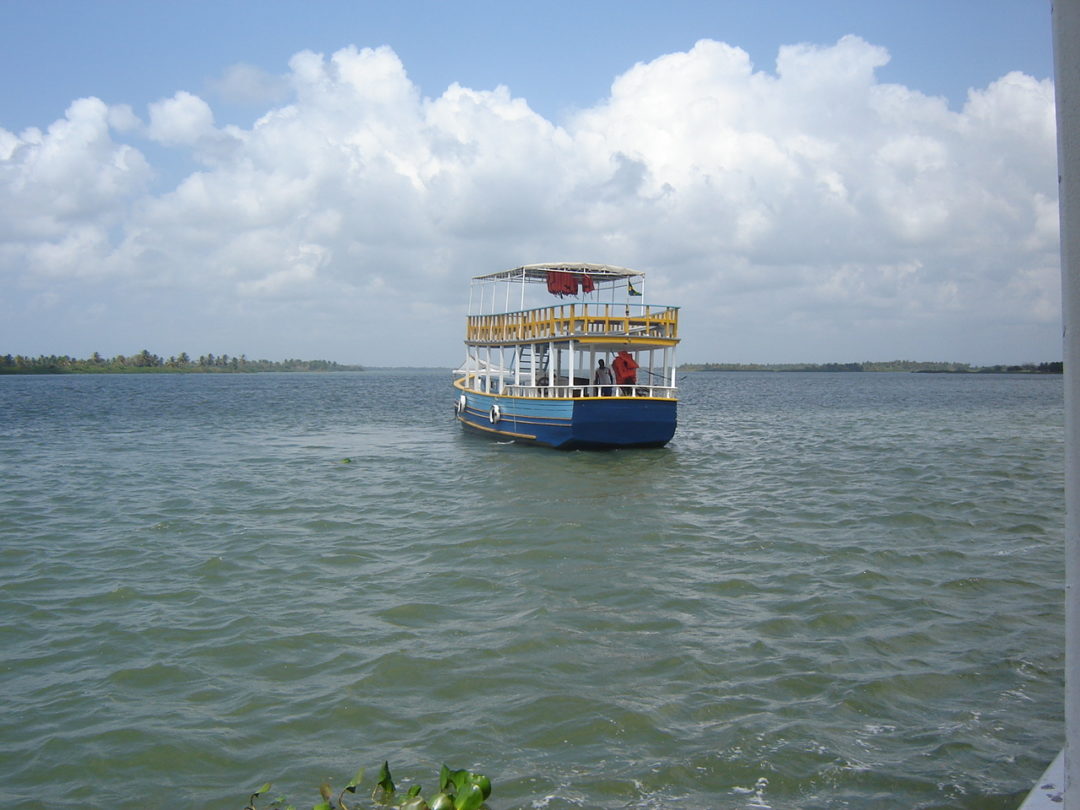 O “Velho Chico” abriga uma rica variedade de fauna e flora, incluindo espécies endêmicas e ameaçadas de extinção.