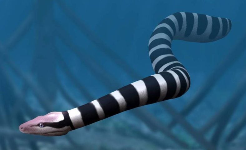 Palaeophis colossaeus – Habitou regiões costeiras da Europa e América do Norte entre cerca de 50 e 60 milhões de anos atrás. Foi uma das maiores cobras marinhas conhecidas, adaptada à vida em águas quentes.