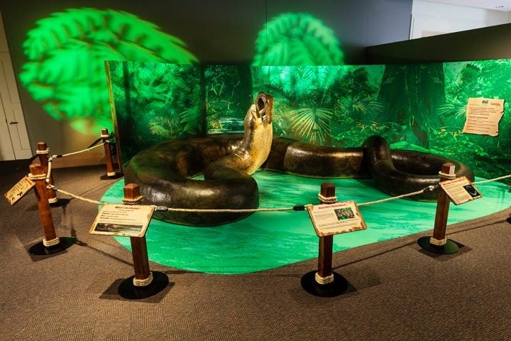 Titanoboa cerrejonensis – Essa cobra habitou florestas tropicais da atual Colômbia durante o período Paleoceno, ou seja, há cerca de 60 milhões de anos. Ela não era venenosa e matava suas presas por constrição.