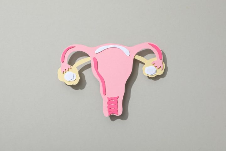 Após a fecundação, o embrião é cultivado por alguns dias e, então, transferido para o útero, onde pode se desenvolver normalmente.