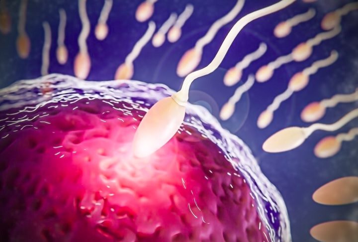 Nos anos 1980, a FIV ainda era experimental, com baixas taxas de sucesso. Hoje, graças a avanços e técnicas genéticas de seleção, sua eficácia aumentou significativamente.