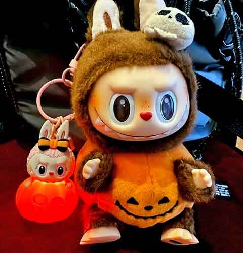 Os bonecos Labubu têm rosto de vinil e corpos de pelúcia. O aspecto, com olhos esbugalhados e orelhas pontudas, gera uma percepção entre o fofo e o estranho. 
