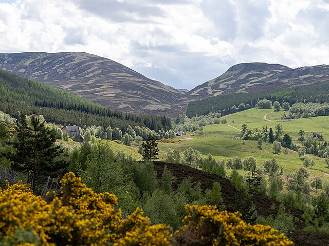 PARQUE NACIONAL DE CAIRNGORMS – ESCÓCIA, REINO UNIDO - Inaugurado em 2003, é o maior parque nacional do Reino Unido, abrigando vastos vales, florestas antigas e áreas montanhosas. Conhecido por suas espécies raras, como a águia-real e o gato-selvagem escocês.