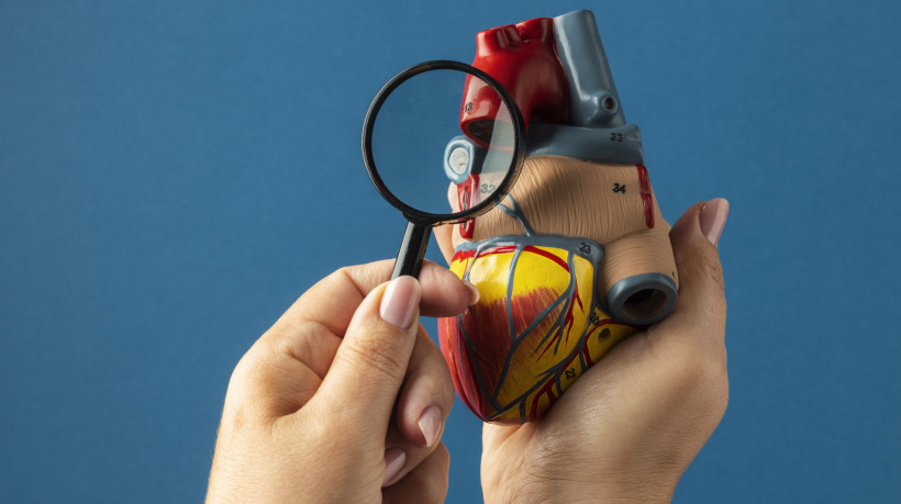 Entre janeiro e junho de 2025, o Ceará registrou 220 transplantes de órgãos, segundo dados do sistema IntegraSUS