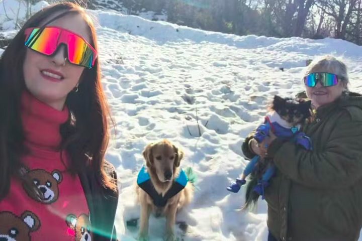 A mãe dela sofreu ferimentos leves, mas já recebeu alta. Os cães foram resgatados ilesos.