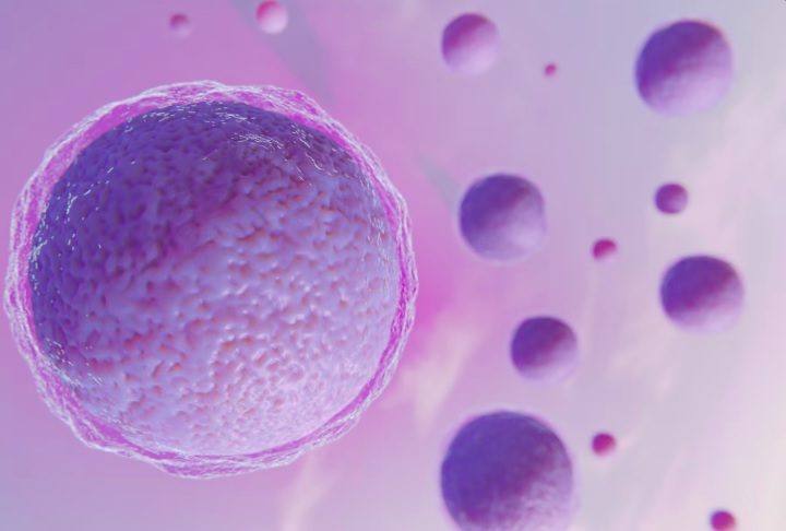 A FIV é indicada principalmente para casais com dificuldades de engravidar por causas como infertilidade masculina, obstrução das trompas ou idade materna avançada.