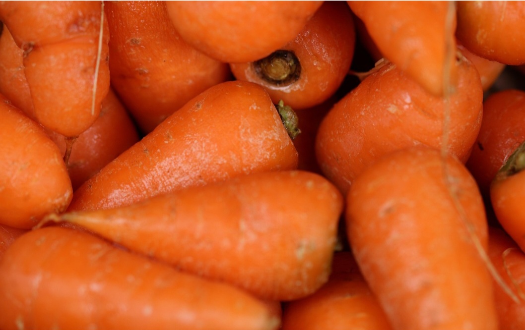 Na hora da compra, é recomendável escolher raízes firmes, com cor intensa e sem manchas escuras ou partes amolecidas. Evitar pigmentações verdes ou arroxeadas na parte superior é importante para garantir qualidade.