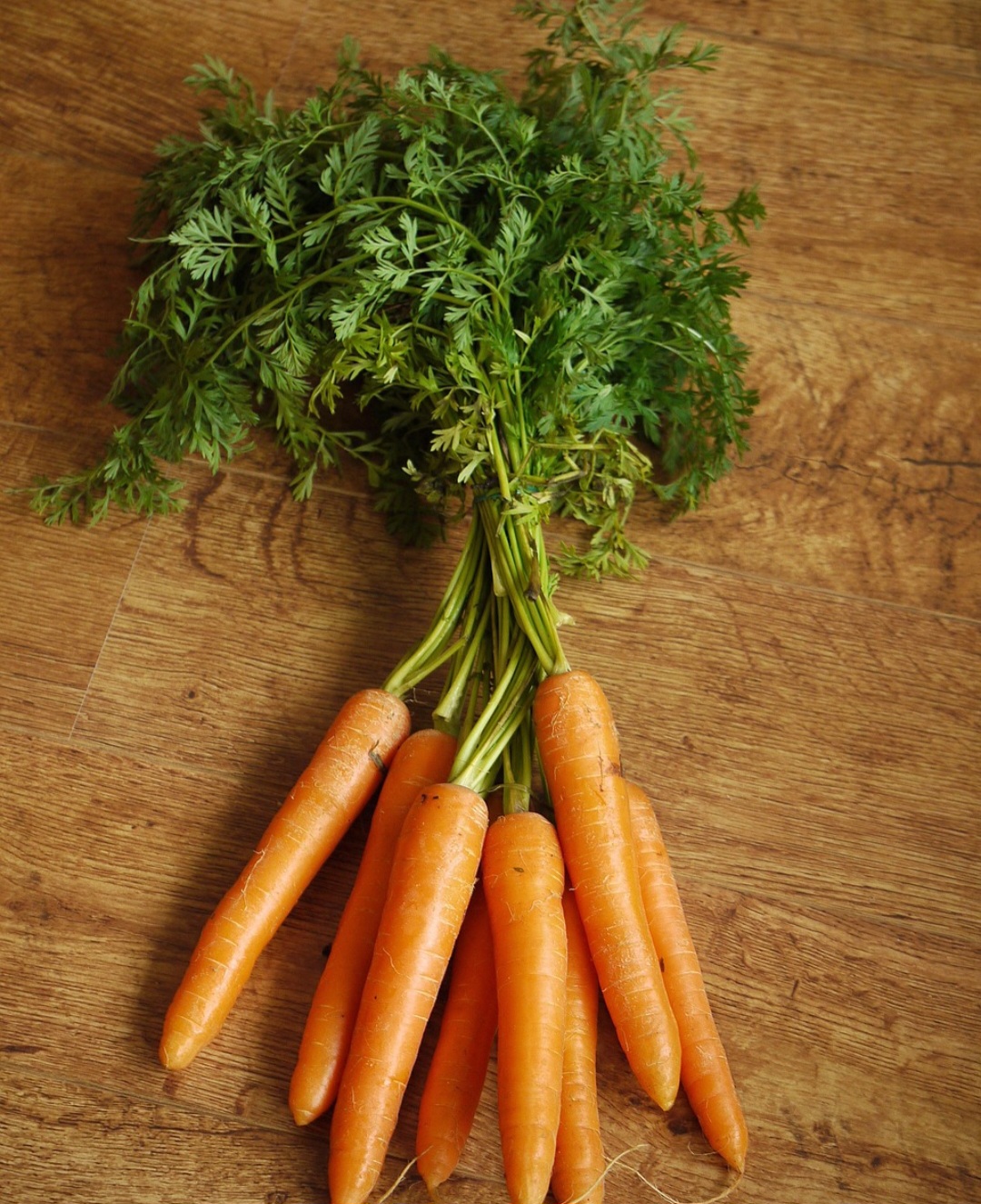 Caso haja formação de gotículas de água, perfurações com um garfo ajudam a melhorar a circulação de ar. Ao comprar cenouras com folhas, recomenda-se removê-las antes de guardar, pois sua permanência acelera a desidratação da raiz.