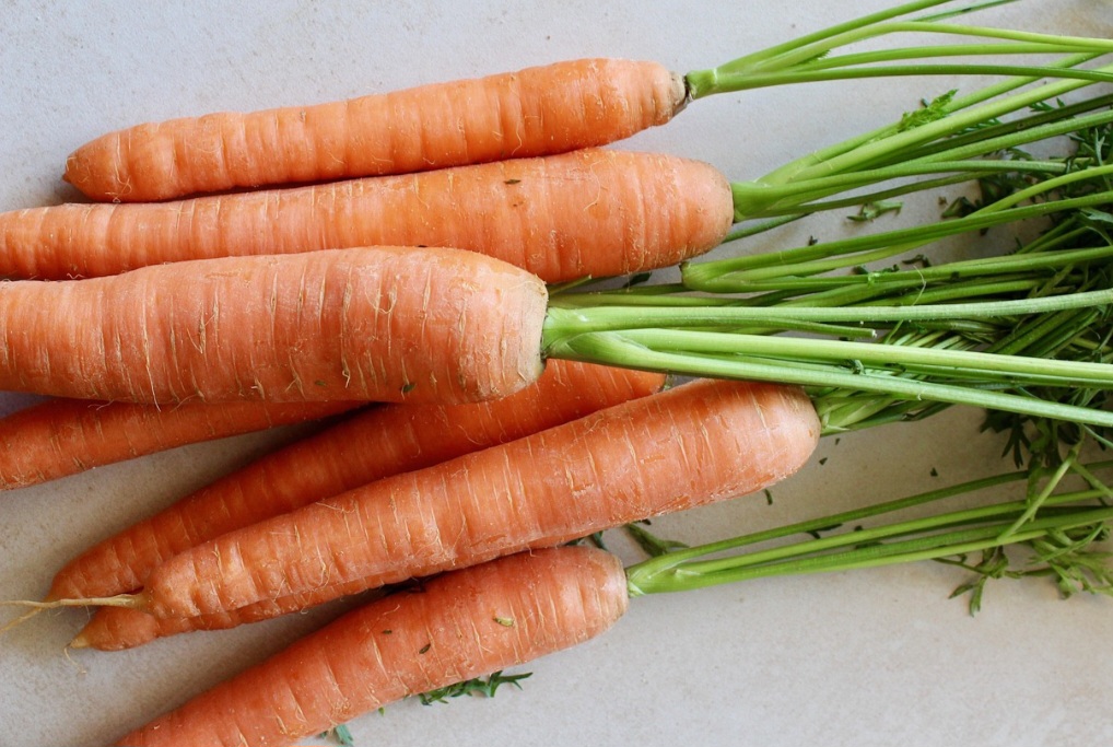 Além da alimentação e da agricultura, a cenoura também tem aplicações na área da estética. Seu extrato é utilizado na formulação de cremes e loções por conter compostos que promovem o brilho da pele e ajudam na sua regeneração.