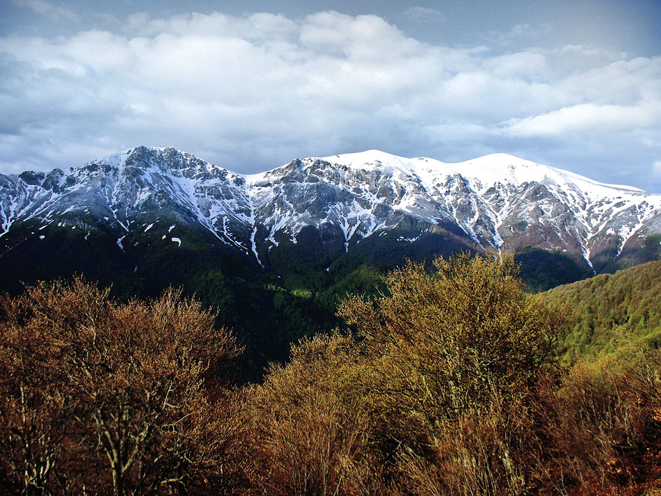 PARQUE NACIONAL DOS BALCÃS CENTRAIS – BULGÁRIA - Estabelecido em 1991, é conhecido por suas cachoeiras impressionantes e florestas virgens. Serve como habitat para muitas espécies ameaçadas nos Balcãs.
