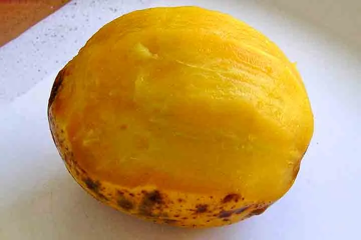 No Brasil, além de cajá-manga, a fruta também é conhecida por outros nomes, como cajarana, taperebá-do-sertão, e até mesmo simplesmente cajá em algumas regiões.