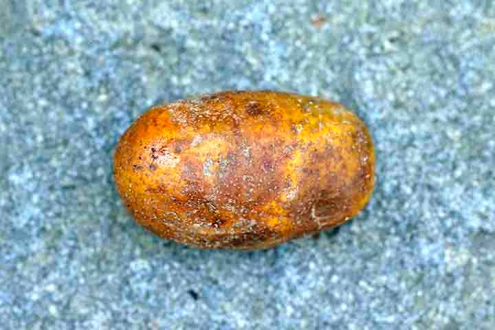 O potássio presente nesta fruta auxilia no controle da pressão arterial e na redução do risco de doenças cardiovasculares. Esse alimento evita danos à células saudáveis e ajuda a prevenir o surgimento do câncer e a regulação do açúcar no sangue.