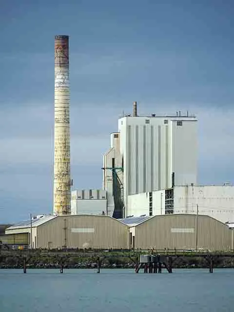 Então, a madeira é descascada e picada em pequenos cavacos. Na sequência, há os processos de cozimento, lavagem, branqueamento, secagem e prensagem. Assim, estão prontas para serem exportadas ou transformadas em produtos finais.
