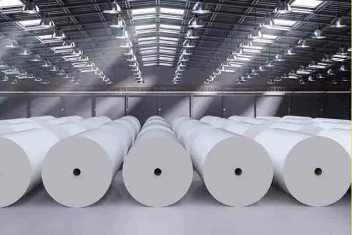 A celulose é um dos materiais mais versáteis da indústria moderna. Seu uso vai desde o tradicional papel para impressão e embalagens até itens de higiene pessoal, como papel higiênico, lenços, fraldas e absorventes. 
