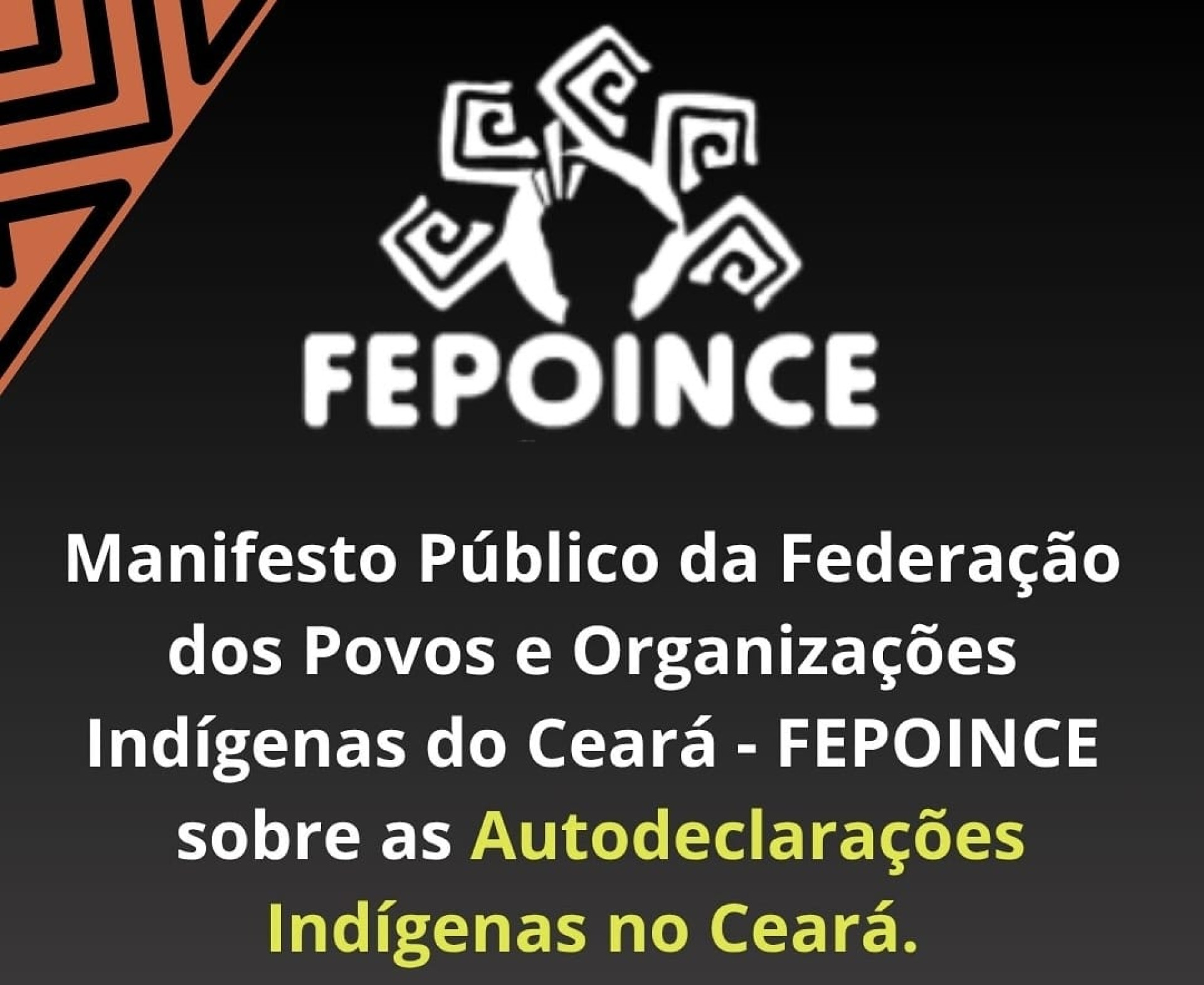 Entidade denuncia uso irregular de autodeclarações indígenas para acessar cotas

 (Foto: Reprodução/Instagram Fepoince)