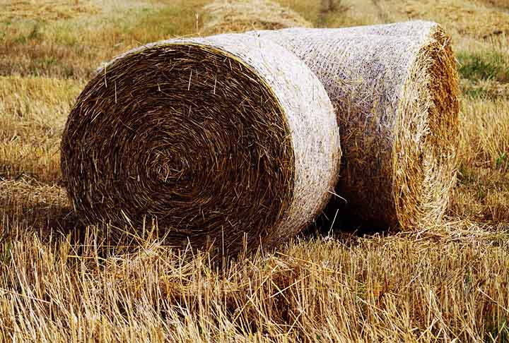 Quem vê objetos de palha na moda ou na decoração nem sempre pensa na origem do material tão adequado para a confecção das peças. A palha tem origem natural e uma versatilidade que permite sua presença nos mais diferentes tipos de produtos, tanto rústicos como sofisticados. 