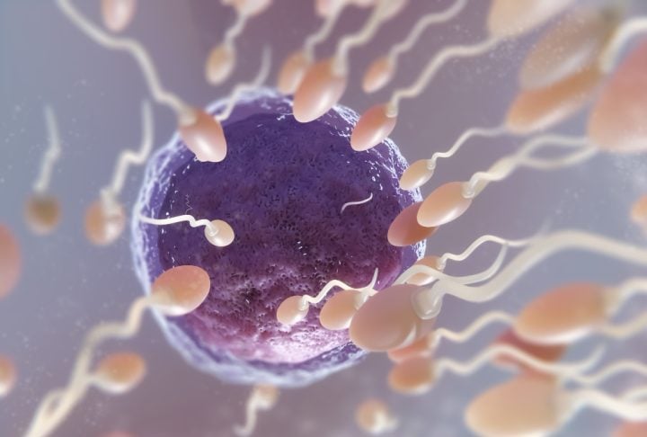 Após ter uma filha em 1994 com um dos embriões, Linda manteve os três restantes congelados por décadas, mesmo após seu divórcio.