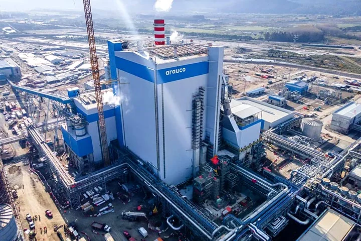 A empresa chilena Arauco, parte do conglomerado Empresar Copec, anunciou a aprovação de um investimento de US$ 4,6 bilhões na construção de sua primeira fábrica de celulose no Brasil. Na cotação atual, o valor equivale a cerca de R$ 25,5 bilhões.
