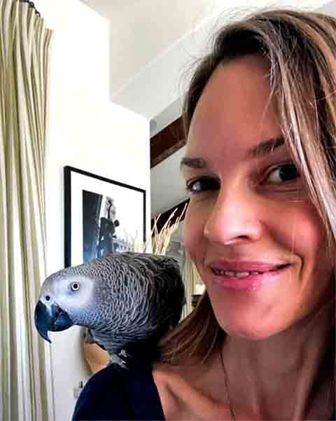 Além disso, a artista estava envolvida em outros projetos, o que dificultou sua disponibilidade para negociações ou mesmo para uma reunião inicial com a equipe da série. 