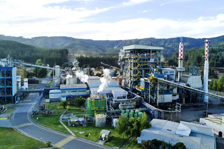 A empresa também prevê o desenvolvimento de infraestrutura logística local, incluindo um investimento de aproximadamente R$ 800 milhões em ramal ferroviário para escoamento da produção.
