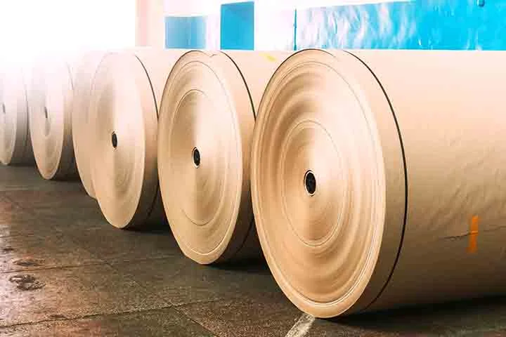 Em 2024, o Brasil registrou um recorde de 25,5 milhões de toneladas de celulose produzidas, representando um aumento de 5,2% em relação ao ano anterior.
