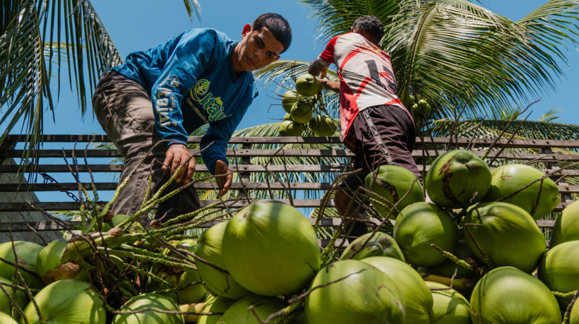 A medida será aplicada devido aos efeitos das tarifas aplicadas pelos Estados Unidos aos produtos brasileiros