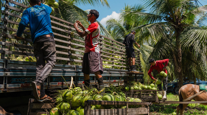 ￼CATADORES ganham cerca de um salário mínimo, a depender da diária e os dias trabalhados