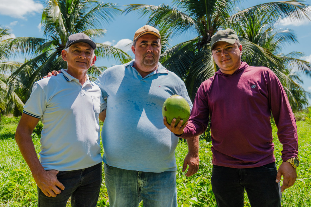 PARAIPABA, CEARÁ, BRASIL, 02-08-2025: Colheita do coco em fazenda na Paraipaba. O item será incluso na lista de produtos do "tarifaço" instaurado pelo governo de Donald Trump, nos EUA. (Foto: Fernanda Barros/ O Povo) PARAIPABA, CEARÁ, BRASIL, 02-08-2025: Colheita do coco em fazenda na Paraipaba. O item será incluso na lista de produtos do "tarifaço" instaurado pelo governo de Donald Trump, nos EUA. (Foto: Fernanda Barros/ O Povo)