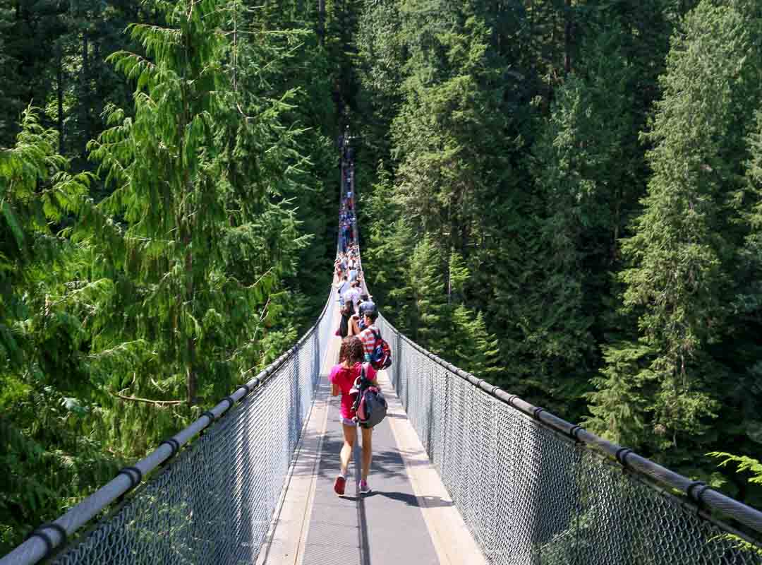Capilano, Canadá: Localizada em North Vancouver, na Colúmbia Britânica, essa ponte é uma atração turística popular conhecida por sua altura e vistas panorâmicas da floresta ao redor. Foi construída em 1889.