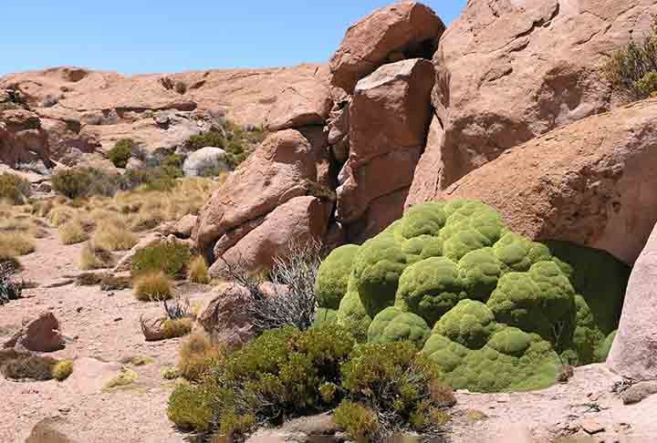 Localizado na Reserva Nacional de Fauna Andina Eduardo Avaroa, ao sul do Salar de Uyuni, o Deserto de Siloli é conhecido por suas formações rochosas incomuns.