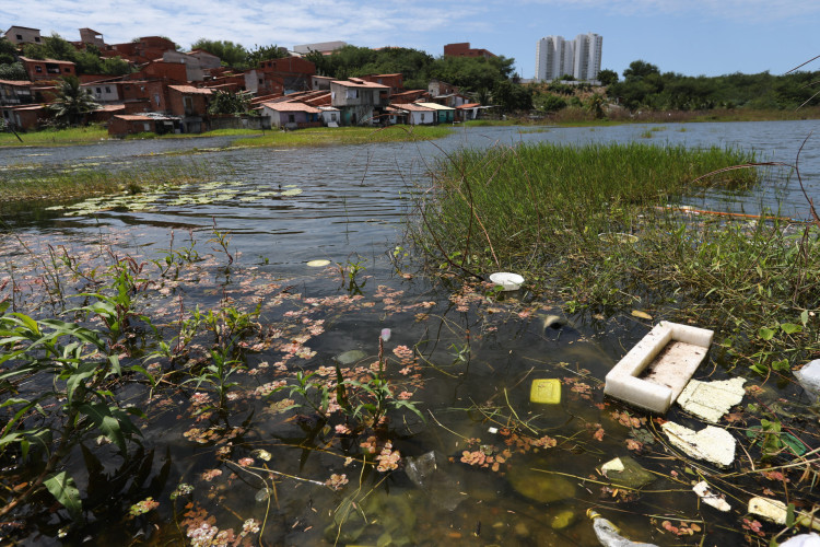 Moradores denunciam polui&ccedil;&atilde;o na Lagoa da Cidade 2000