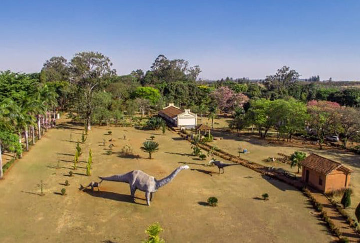 O museu fica no bairro de Peirópolis, à margem da BR-262. Além da exposição interna dos fósseis, o museu tem um jardim com réplicas desses animais. 