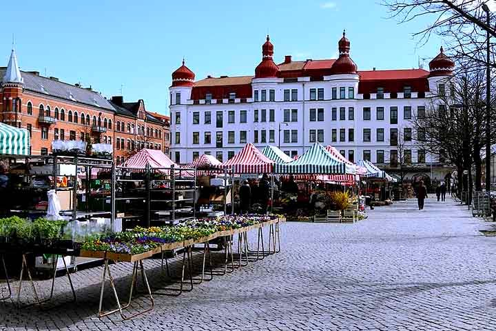 Com todas essas características, Malmö inspira debates sobre mobilidade urbana, multiculturalismo e desenvolvimento econômico em um contexto europeu conectado.
