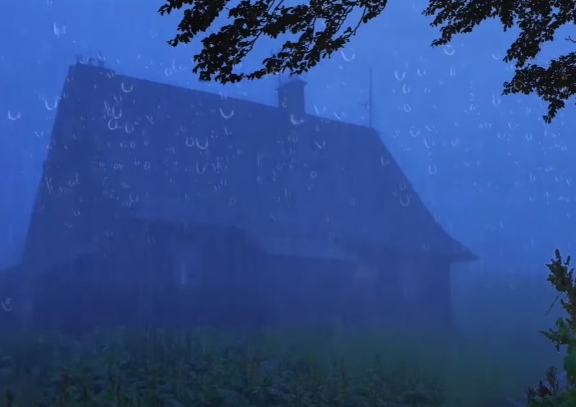 Curiosidade número 6: O barulho da chuva incomoda a audição deles