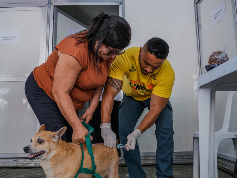 Foto de apoio ilustrativo: vacina&ccedil;&atilde;o e demais servi&ccedil;os gratuitos ser&atilde;o ofertados na primeira Parada Pet de 2026 neste s&aacute;bado, 31, no Cuca do bairro Jos&eacute; Walter, em Fortaleza, das 8 &agrave;s 12 horas

