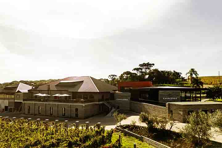 No local também há wine bar, restaurante e hospedagem nas charmosas cabanas da Villa Casacorba. Um refúgio de luxo e sabor no coração de uma região pouco explorada.