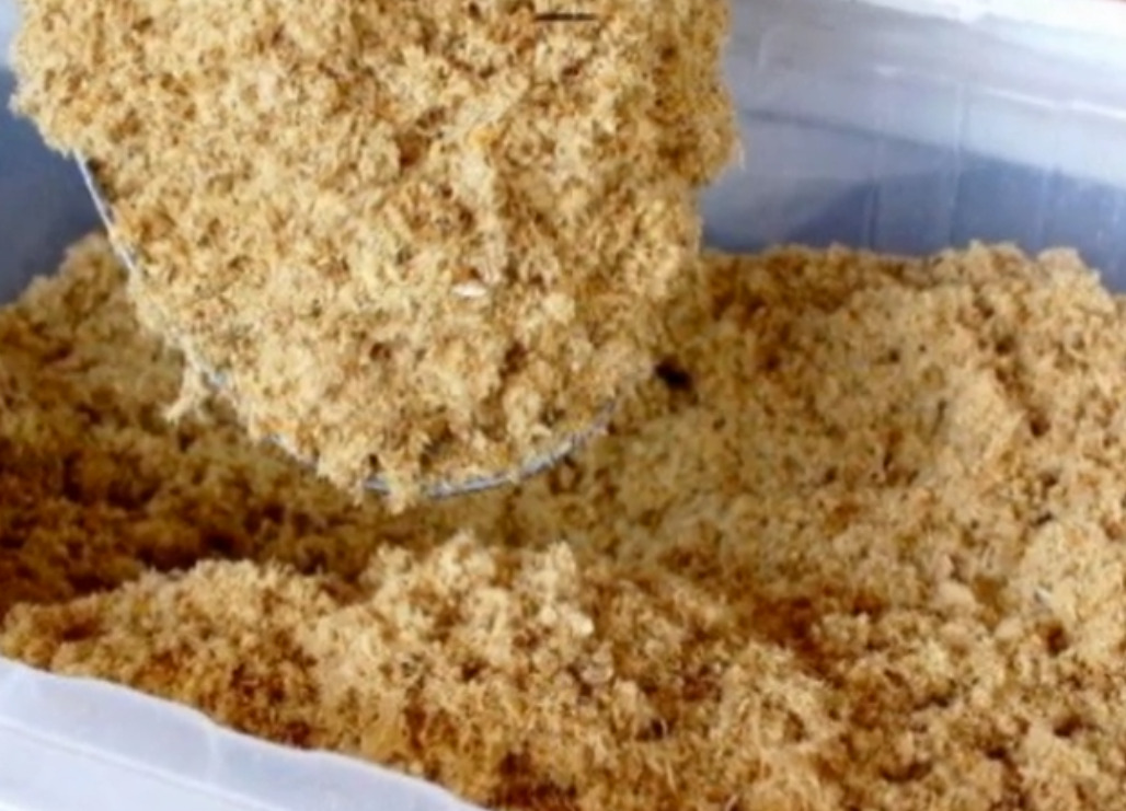 Piracuí: Farofa feita a partir de peixes secos como o pirarucu, utilizada para criar bolinhos ou acompanhamentos. Combina simplicidade com o aproveitamento sustentável da biodiversidade local. Servido com arroz e vinagrete. Calorias: cerca de 160 kcal.